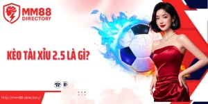 Kèo Tài Xỉu 2 2.5 Là Gì